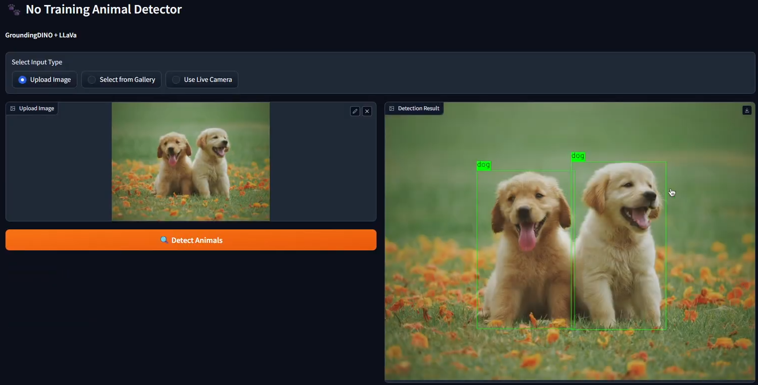 No Training Animal Detection Using Vision Language Model